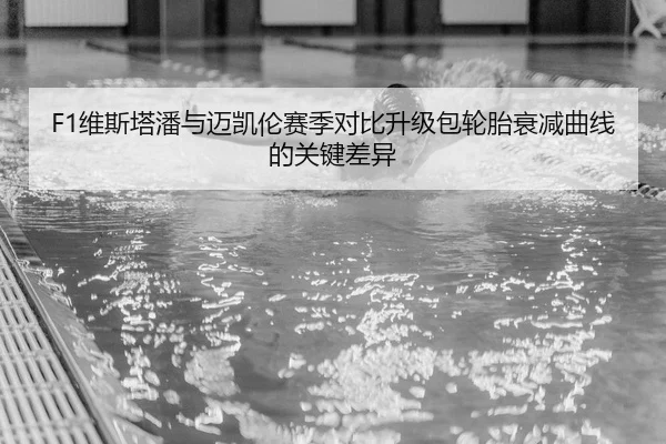 F1维斯塔潘与迈凯伦赛季对比升级包轮胎衰减曲线的关键差异